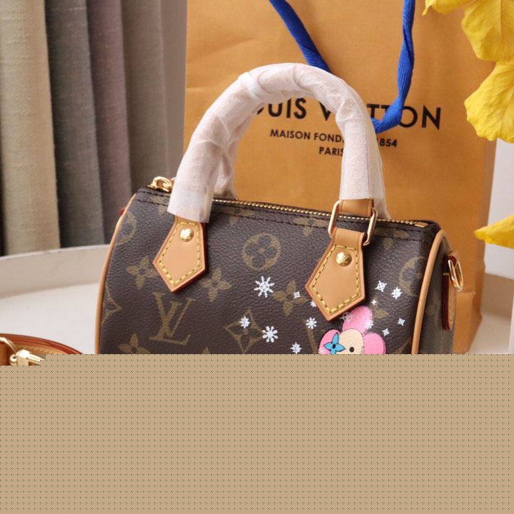 LV Speedy Bags
